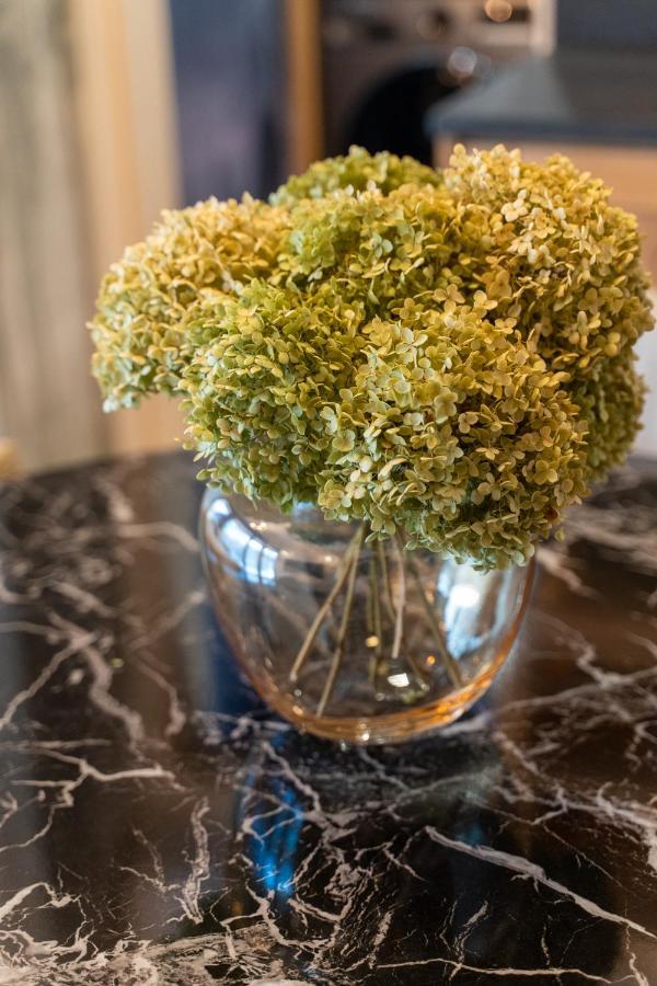 Apartament Dream&Snow زاكوباني المظهر الخارجي الصورة